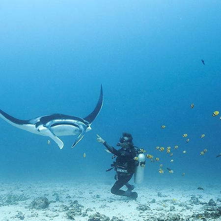 Blue Marlin Dive Komodo 라부안 바조 외부 사진